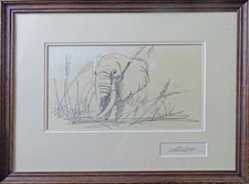 1991 SIGNED RARE ORIGINAL David Shepherd DRAWING Pencil ~ African Elephant