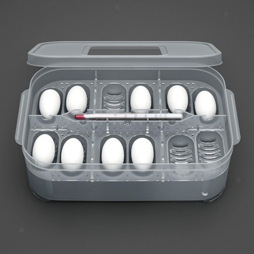 Reptile egg incubation - egg,