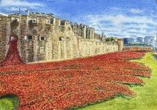 Tower of London Remembrance Ceramic Poppy  print  size  8x10ins  signed.
