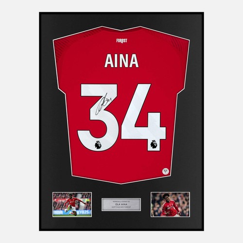 Framed ola aina signed - ola,