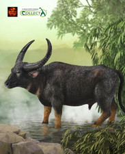 Wild Water Buffalo Wildlife