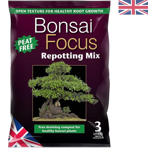 Mdbf2 bonsai focus repotting - mdbf2,