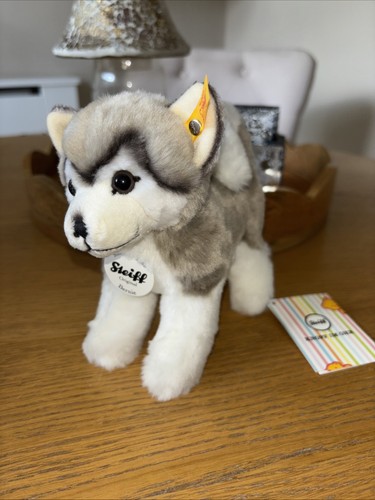 Steiff bernie husky 104985 - husky,