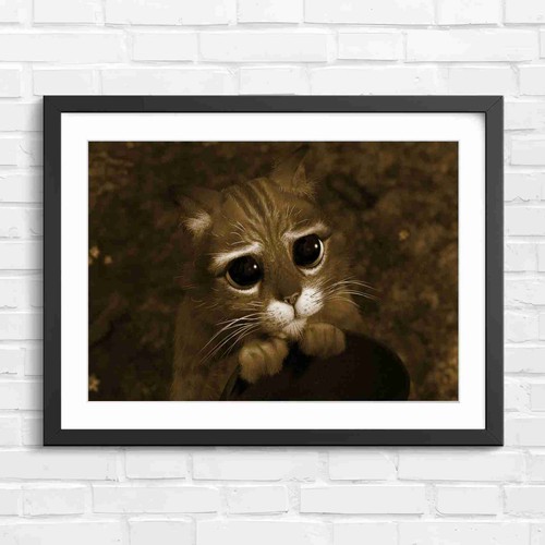 Big eyes orange - eyes, cat