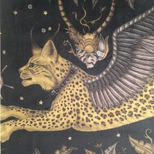 3.1 meters x EMMA SHIPLEY