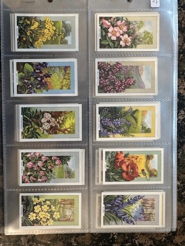 Gallaher cigarette cards - cigarette,
