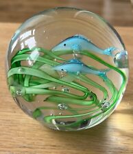 Fish in the Sea Glass
