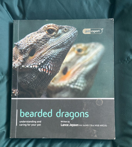 Bearded dragons lance - dragons,,