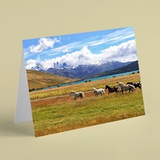 Horses on open plain with