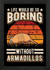 Armadillo Gift Framed Wall Art