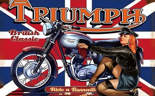 5x3 triumph motor cycle - 5x3,
