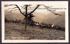 REAL PHOTO POSTCARD FOX HUNTING CLOUTSHAM BALL CORNER SOMERSET POSTED 1929