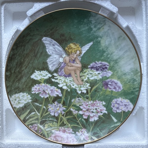 Flower fairies the - flower, candytuft