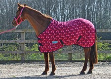 MAXIMA FLEECE RUG FOR HORSE