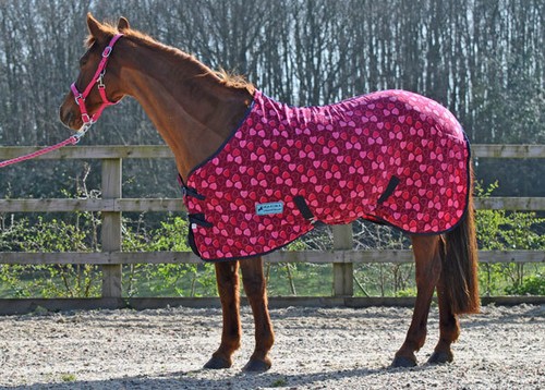 Maxima fleece rug - rug, horse