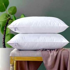 Duck Feather & Down Pillow