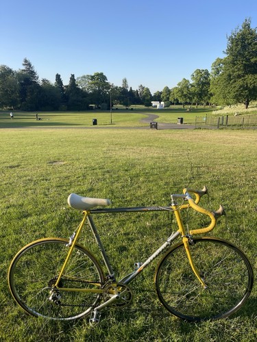 Carrera mondiale vintage - carrera,
