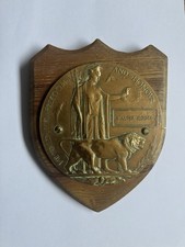 First World War  Death Penny