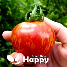 VEGETABLE TOMATO SEEDS -