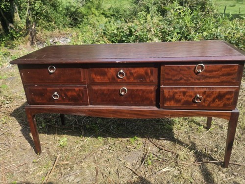 Stag minstrel leggy - minstrel,