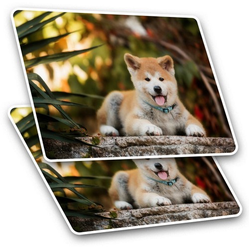Rectangle stickers cm - rectangle, 10