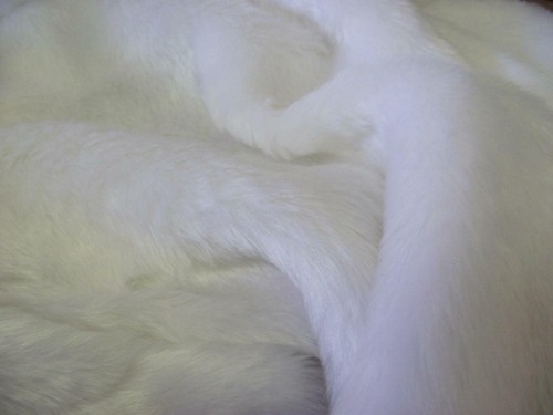Short plush care bear - care, faux