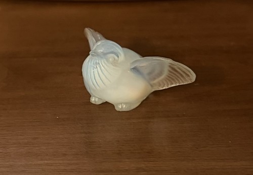 Sabino opalescent bird - sabino,