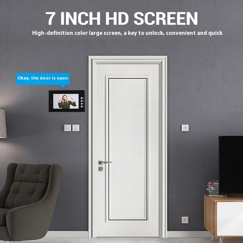 Video intercom entry system - video,