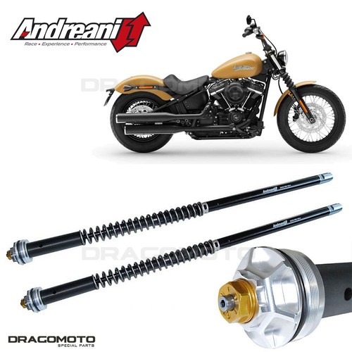 2019 harley davidson - harley-davidson, softail