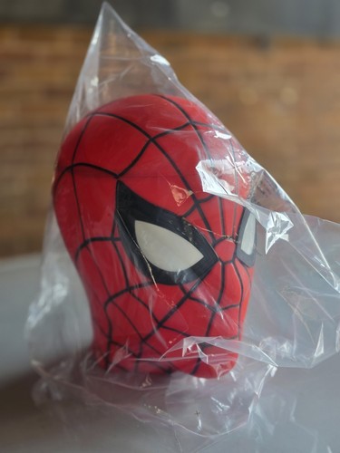 Spider man brand - day, head