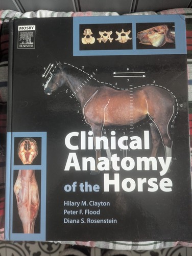 Clinical anatomy the - clinical,