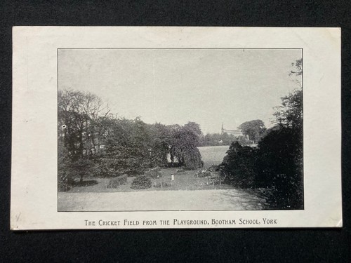 Cricket field from - from, playground