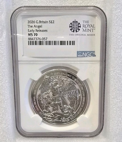 Angel silver ngc ms70 - 1,