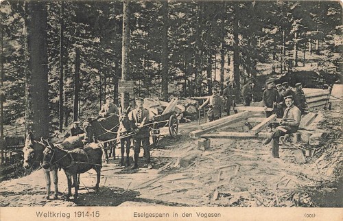 Wwi german soldiers donkey - german,