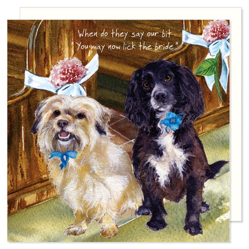 Little dog laughed doggy - little,