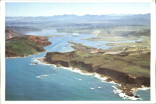 Protea colour prints knysna - protea,