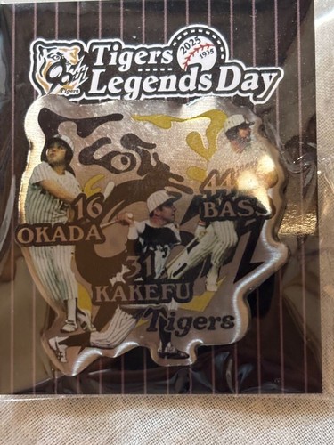 Koshien stadium pin - stadium,