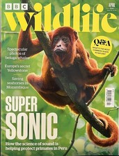 BBC WILDLIFE MAGAZINE ISSUE