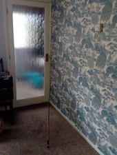 Shakespeare Professional Fly