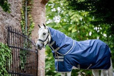 HORSEWARE AMIGO RIPSTOP 900 PLUS 100G TURNOUT RUG HORSE