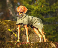 Rukka pets sky dog - dog, raincoat