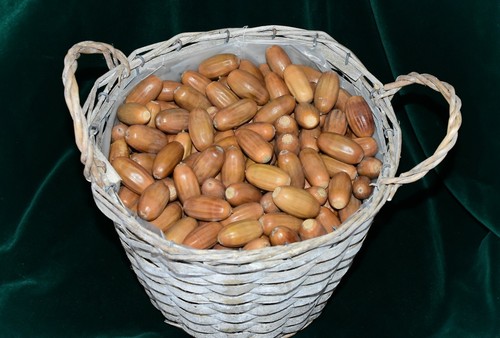 Fine organic jumbo white - fine,