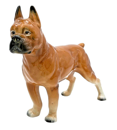 Boxer dog porcelain - boxer,