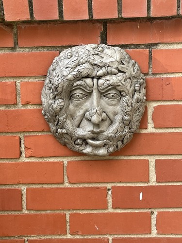 Oak green man concrete garden - green, man,