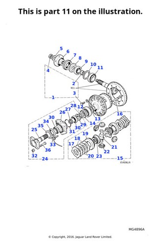 Jaguar belleville clutch - belleville, plate