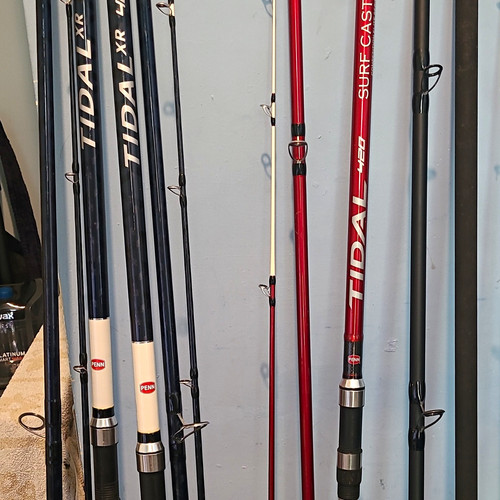 Penn tidal 10ft 2pc carbon - penn,
