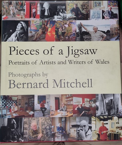 Pieces jigsaw portraits - pieces,