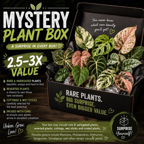 Rare plants mystery box - plants,