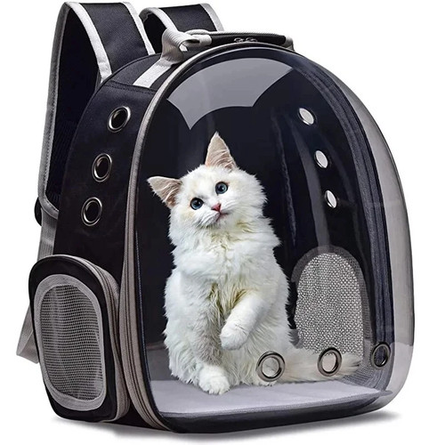Cat pet carrier backpack - carrier,