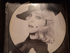 Madonna Masterpiece Picture